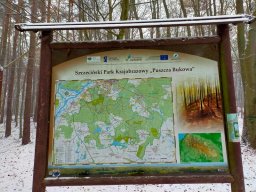 3.12.2022 - Leśna Sobota