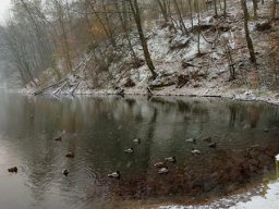 3.12.2022 - Leśna Sobota