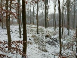 3.12.2022 - Leśna Sobota